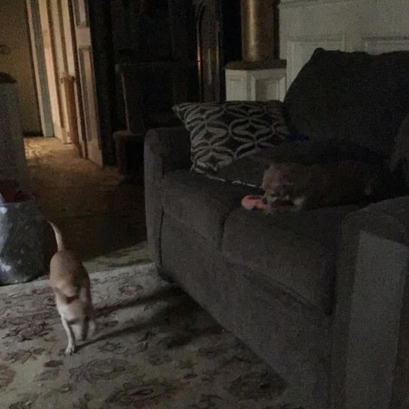 Meet your Posher, Maria - Picture 1 of 1